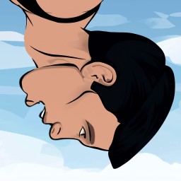 Swagflip